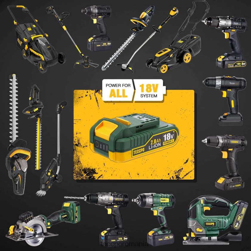 TECCPO Baterie reîncărcabilă litiu-ion 20/18v max 2.0ah pentru toate sculele electrice fără fir de 20/18v - zpk18hs2000 VF0BR66 accesorii